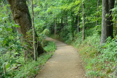 DSC_2749 (Large).JPG